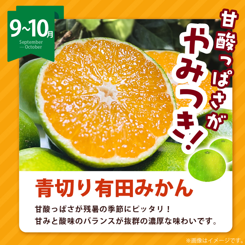 AB61-T11_【定期便4回】 旬 カンキツ 定期便 L 訳あり 家庭用 青切り有田みかん 完熟有田みかん 清見オレンジ カラマンダリン みかん オレンジ 新鮮 甘酸っぱい 甘み 酸味 バランス 濃厚 ノーワックス お取り寄せ お取り寄せフルーツ 和歌山県 湯浅町 送料無料 
