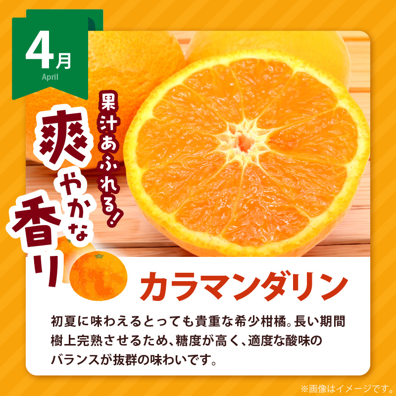 AB61-T11_【定期便4回】 旬 カンキツ 定期便 L 訳あり 家庭用 青切り有田みかん 完熟有田みかん 清見オレンジ カラマンダリン みかん オレンジ 新鮮 甘酸っぱい 甘み 酸味 バランス 濃厚 ノーワックス お取り寄せ お取り寄せフルーツ 和歌山県 湯浅町 送料無料 
