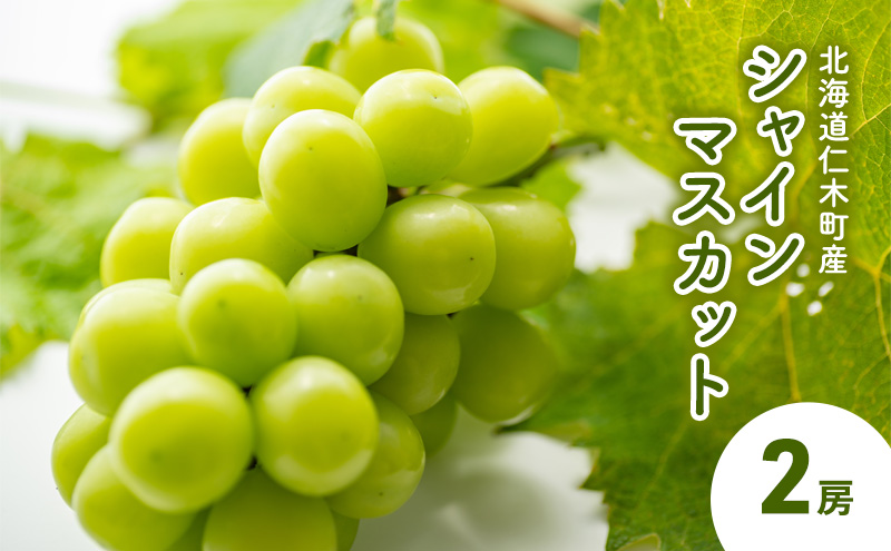 [先行受付] 北海道 仁木町産 シャインマスカット 2房 ぶどう マスカット 果物 くだもの フルーツ 季節のフルーツ [鶴田農園]