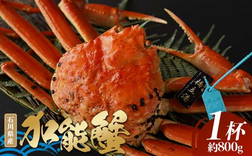 yΐ쌧szuΐ쌧Y^Ot\IiPtjv΂ F6P-1725