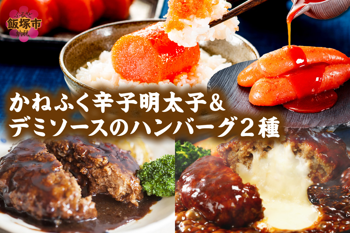 福岡県飯塚市のふるさと納税 かねふく辛子明太子&デミソースのハンバーグ2種セット【A5-301】