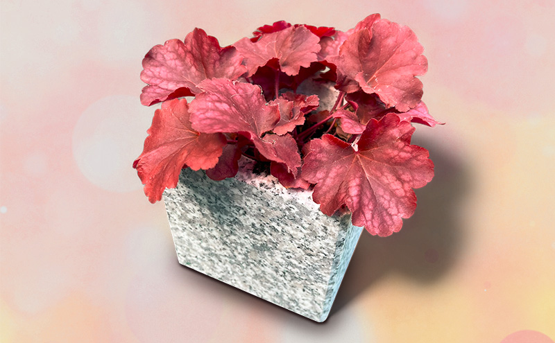 自然石フラワーポット サイズ(約)縦12cm×横12cm×高さ12cm フラワーポット 角型 自然石 植木鉢