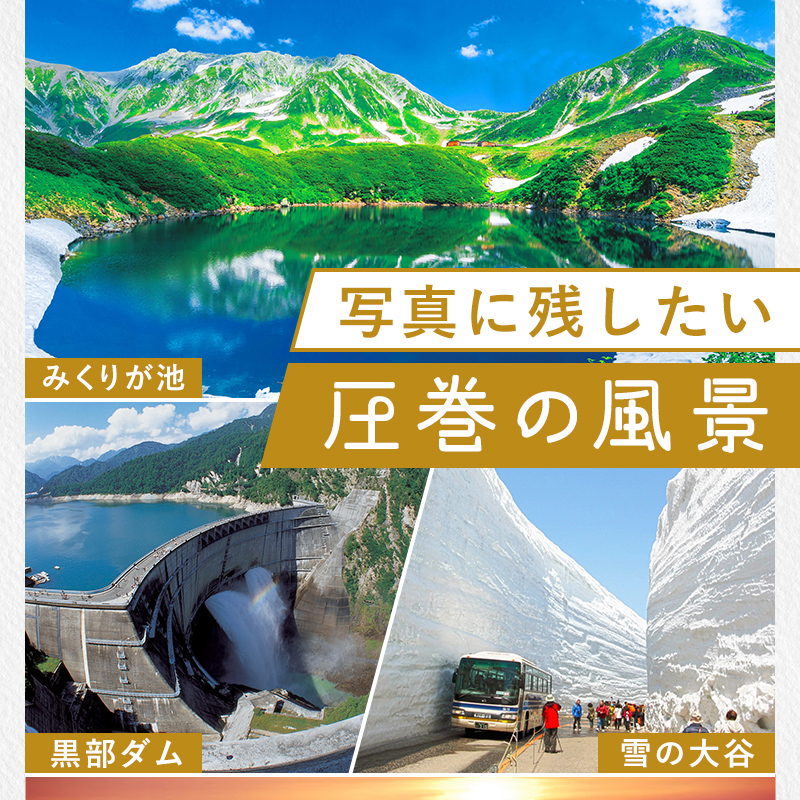 リピーター多数★ 宿泊券 山小屋含む宿泊施設 9,000円分 [富山 とやま 立山 たてやま 登山 山登り 山歩き トレッキング アルペンルート 商品券 チケット 宿 ホテル 宿泊 温泉 旅行 旅 観光 9000 9000円 富山県 立山町 F6T-777