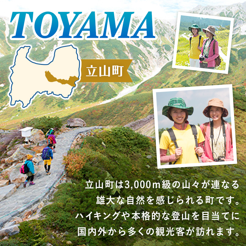 リピーター多数★ 宿泊券 山小屋含む宿泊施設 6,000円分 富山 とやま 立山 たてやま 登山 山登り 山歩き トレッキング アルペンルート 商品券 チケット 宿 ホテル 宿泊 温泉 旅行 旅 観光 6000 6000円 富山県 立山町 F6T-776