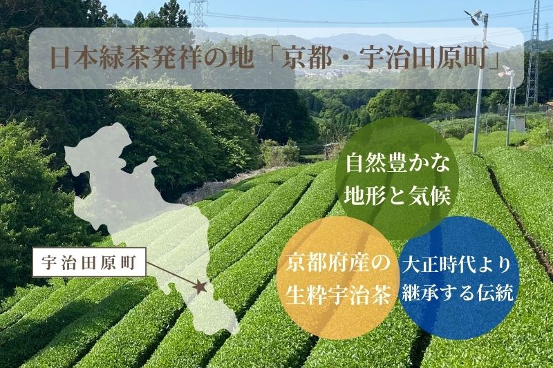 【定期便】宇治茶ティーバッグ3種セット（煎茶・ほうじ茶・抹茶入玄米茶）×4回（3ヵ月毎）〈定期便 ティーバッグ ティーパック 宇治茶 お茶 茶 煎茶 玄米茶 ほうじ茶 緑茶 抹茶 宇治抹茶 水出し 飲料 加工食品〉 