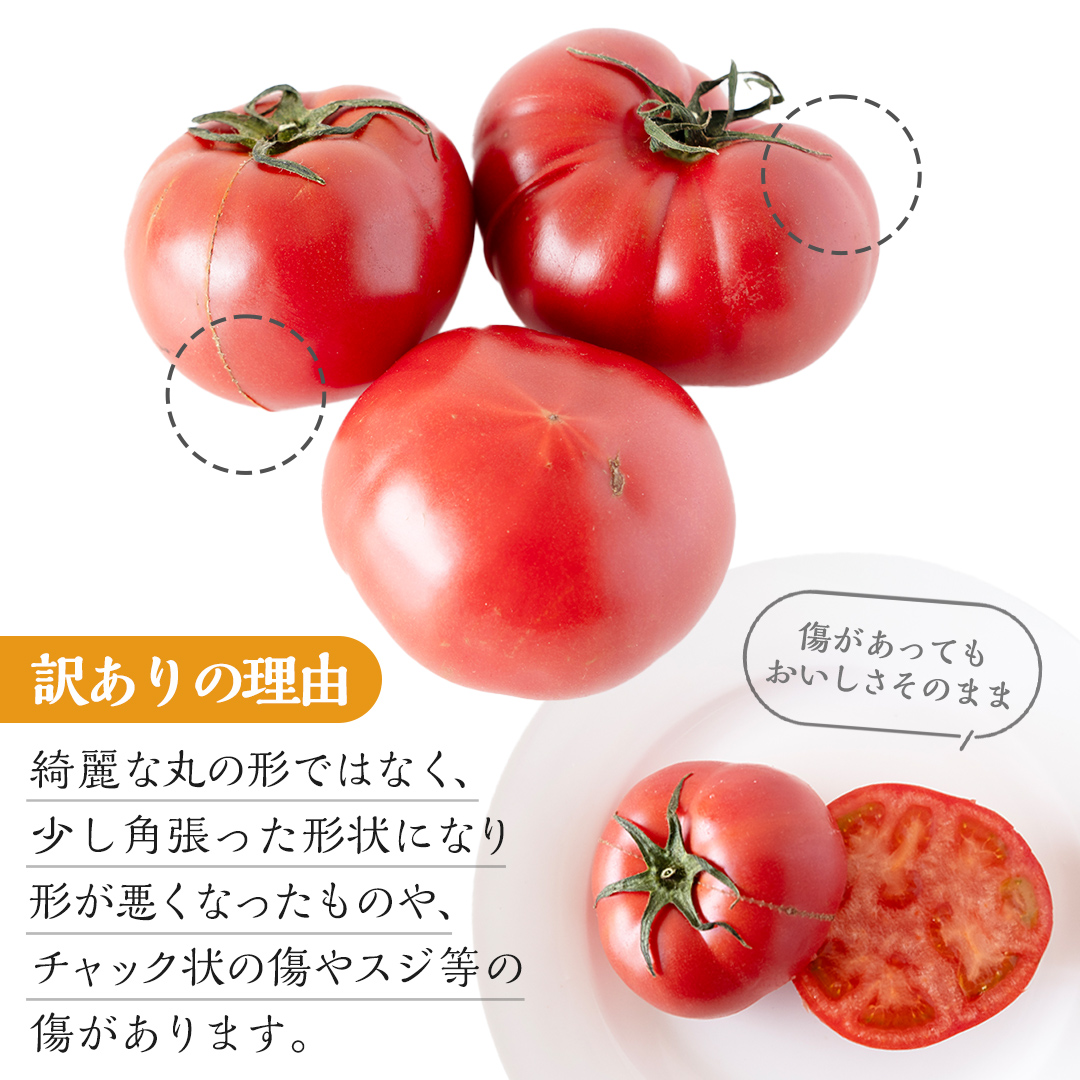 茨城県筑西市のふるさと納税 【 訳あり 】 スーパーフルーツトマト 大箱 約2.6kg × 1箱 【大玉 20～35玉】 野菜ソムリエサミット 金賞 糖度9度 以上 野菜 フルーツトマト フルーツ トマト とまと [AF055ci]