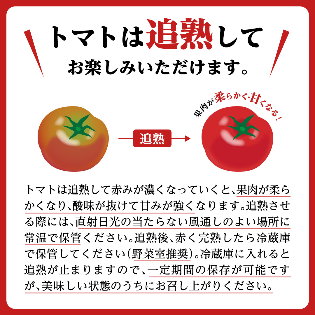 茨城県筑西市のふるさと納税 【 訳あり 】 スーパーフルーツトマト 大箱 約2.6kg × 1箱 【大玉 20～35玉】 野菜ソムリエサミット 金賞 糖度9度 以上 野菜 フルーツトマト フルーツ トマト とまと [AF055ci]