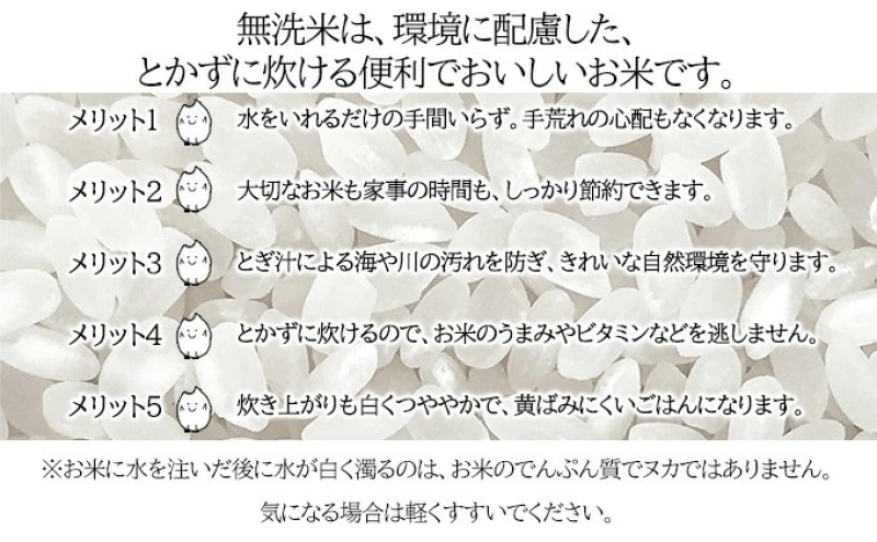 【令和8年産先行予約】北海道 定期便 12ヵ月連続12回 令和8年産 ななつぼし 無洗米 2kg×1袋 特A 精米 米 白米 ご飯 お米 ごはん 国産 ブランド米 常温 お取り寄せ 産地直送 送料無料