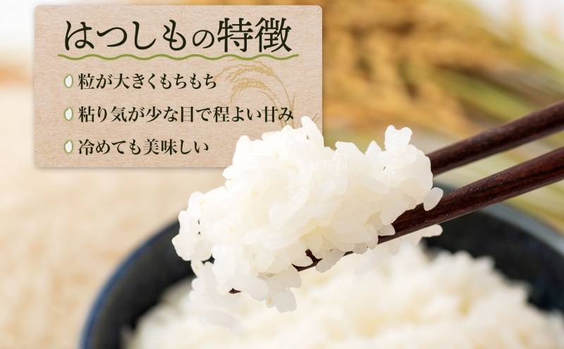 先行予約＞令和7年産 はつしも 精米 10kg×1袋 低農薬 清流育ち