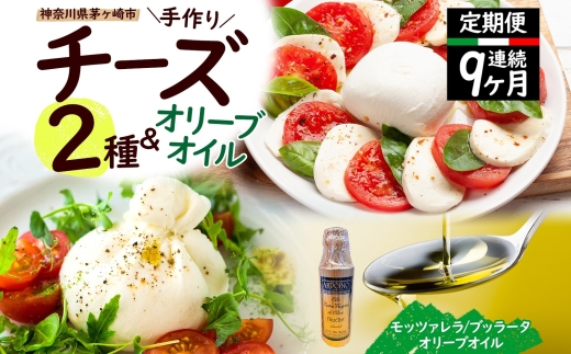 【ふるさと納税】9ヶ月定期便 フレッシュチーズ 2種 オリーブオイル セット モッツァレラ 100g 2個 ブッラータ 160g 1個 オリーブオイル 100ml チーズ おつまみ 送料無料 神奈川県 茅ヶ崎市