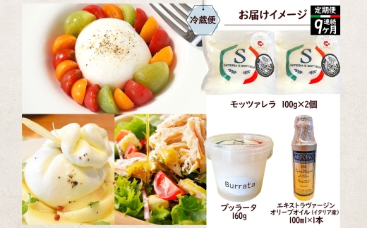 【ふるさと納税】9ヶ月定期便 フレッシュチーズ 2種 オリーブオイル セット モッツァレラ 100g 2個 ブッラータ 160g 1個 オリーブオイル 100ml チーズ おつまみ 送料無料 神奈川県 茅ヶ崎市