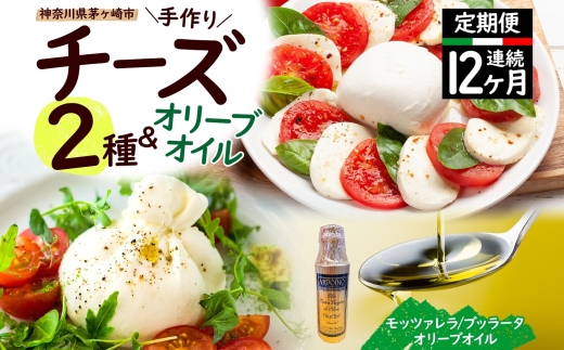 【ふるさと納税】12ヶ月定期便 フレッシュチーズ 2種 オリーブオイル セット モッツァレラ 100g 2個 ブッラータ 160g 1個 オリーブオイル 100ml チーズ おつまみ 送料無料 神奈川県 茅ヶ崎市