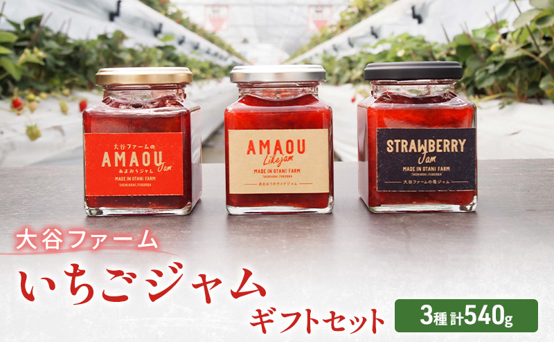 ジャム 大谷ファーム いちごジャム セット 3種 計540g ギフトセット ※配送不可：離島