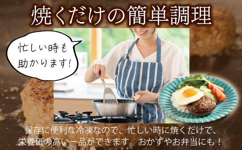 大阪府泉佐野市のふるさと納税 桜文 馬肉ハンバーグ 総量1.2kg（120g×10個） 個包装 005A658