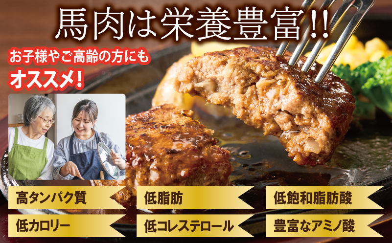 大阪府泉佐野市のふるさと納税 桜文 馬肉ハンバーグ 総量1.2kg（120g×10個） 個包装 005A658