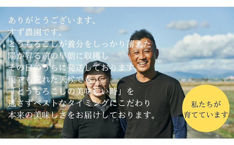 【 先行予約 】リピーター続出！ とうもろこし 【 ドルチェ甘美 】約5kg 8～10本 トウモロコシ 甘い 野菜 採れたて 朝採り 農家直送 袋井市 静岡県