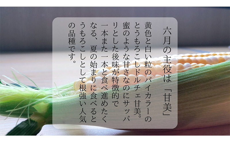 【 先行予約 】リピーター続出！ とうもろこし 【 ドルチェ甘美 】約5kg 8～10本 トウモロコシ 甘い 野菜 採れたて 朝採り 農家直送 袋井市 静岡県