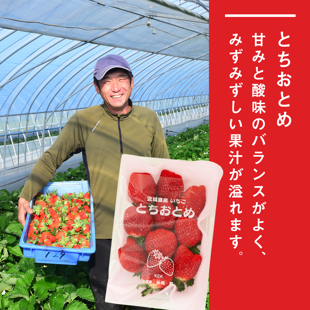 茨城県筑西市のふるさと納税 完熟 とちおとめ 4パック 先行予約 大粒 イチゴ 苺 いちご フルーツ 果物 [AF057ci]