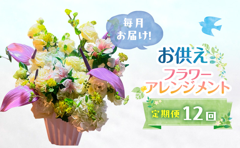 y品z 12 ͂I䋟AWg t[AWg  Mtg 12 zsFA