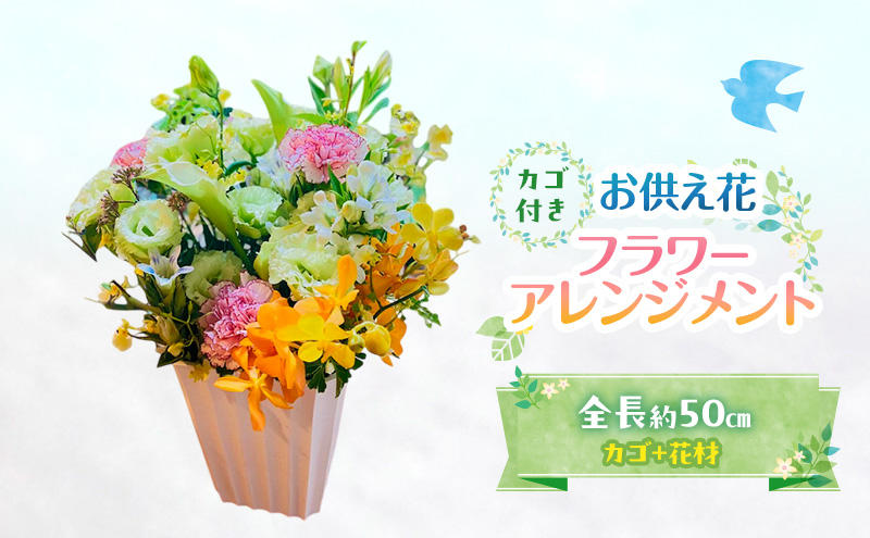 y品zt[AWg yԁz  Mtg zsFA