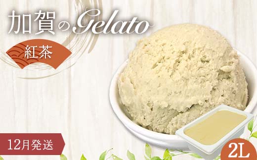 yΐ쌧szy12z WF[g 2L ̍g F6P-2357