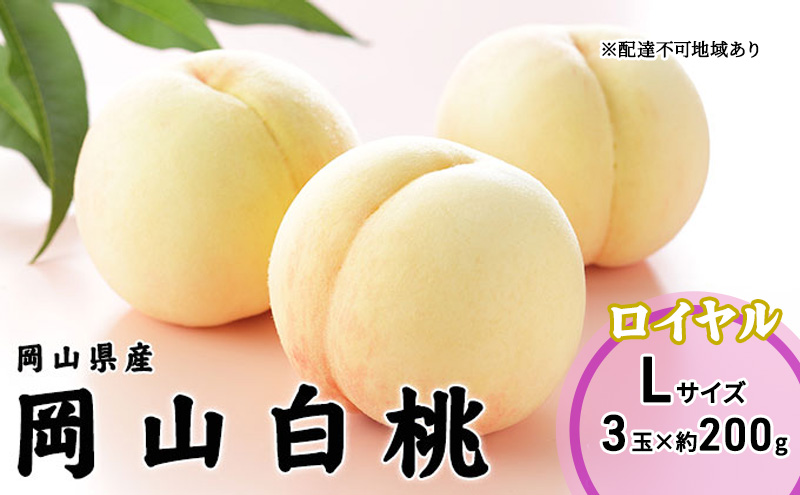 桃 2026年 先行予約 岡山 白桃 ロイヤル 3玉×200g（Lサイズ） 岡山県産 JAおかやまのもも モモ 岡山県産 国産 フルーツ 果物 ギフト
