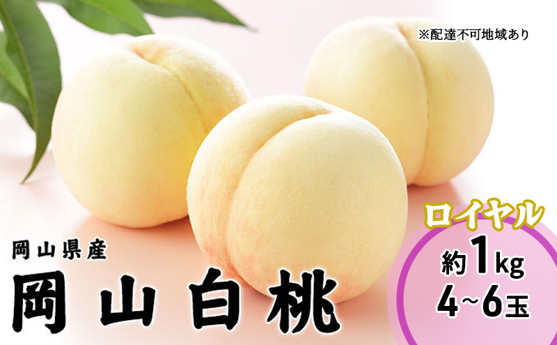 桃 2025年 先行予約 岡山 白桃 エース 4～8玉 1.2kg 岡山県産 JA