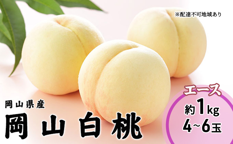 桃 2026 年先行予約 岡山 白桃 エー