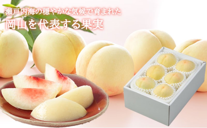 桃 2026年 先行予約 岡山 白桃 ロイヤル 4～8玉 1.2kg 岡山県産 JAおかやまのもも モモ 岡山県産 国産 フルーツ 果物 ギフト