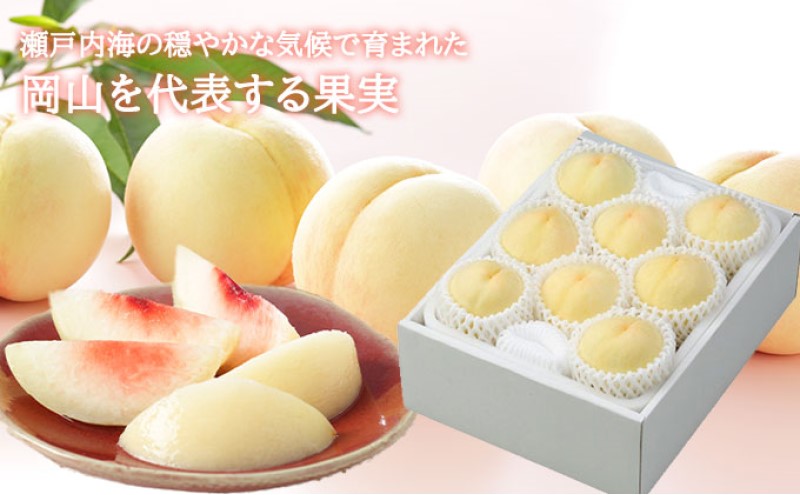 桃 2026年 先行予約 岡山 白桃 ロイヤル 5～10玉 2kg 岡山県産 JAおかやまのもも  モモ 岡山県産 国産 フルーツ 果物 ギフト
