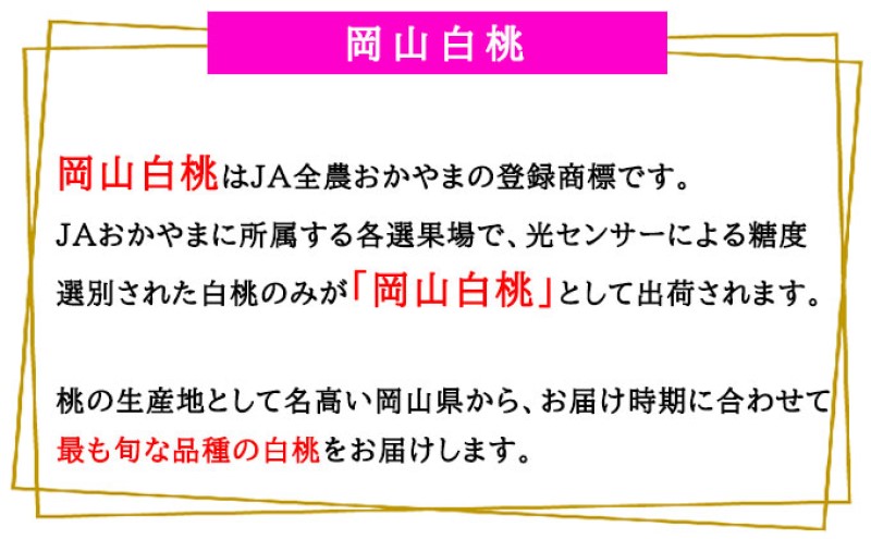 桃 2026年 先行予約 岡山 白桃 エース 5～10玉 2kg 岡山県産 JAおかやまのもも モモ 岡山県産 国産 フルーツ 果物 ギフト