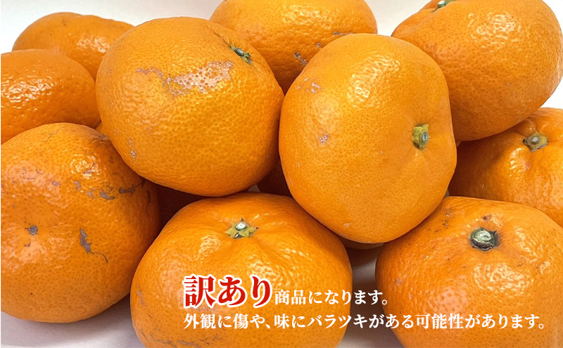 静岡県浜松市のふるさと納税 【2025年11月中旬より順次発送】『訳あり』 三ヶ日みかん 早生 2.5kg みかん ミカン 果物 柑橘 フルーツ 訳あり 静岡 浜松市