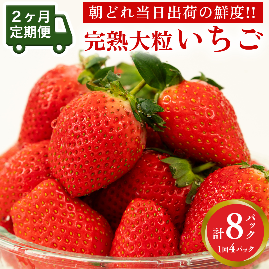 ６・茨城県・いちご様・ピノガール 6・茨城県・いちご様・ピノガール - メルカリ