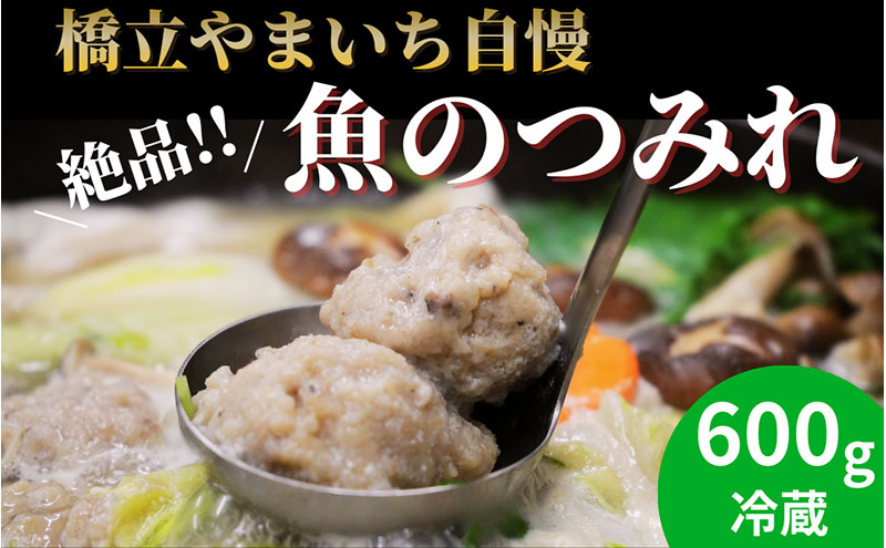 橋立やまいち自慢の魚のつみれ 2パックセット（冷蔵）600g つみれ 魚 鍋 京都府 宮津市
