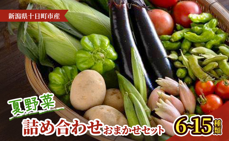 夏野菜詰め合わせ　おまかせセット 野菜　茶豆 とうもろこし トマト なす きゅうり ピーマン ズッキーニ おまかせ 新潟県 十日町市