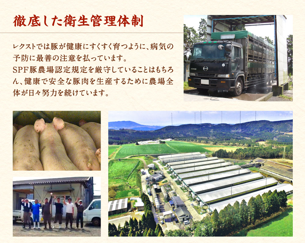 【6回定期便】豚肉 宮崎県産 いもこ豚 小間切れ 1.5kg 計 9kg 定期便 6回 しゃぶしゃぶ 小分け 豚 スライス 薄切り こま切れ 細切れ こまぎれ 豚丼 国産 九州産 宮崎 ブランド 冷凍 送料無料