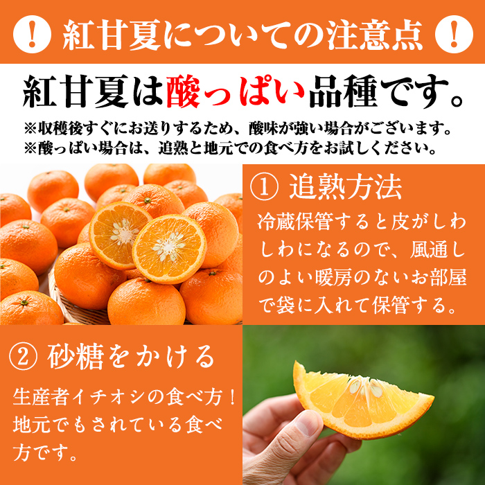 鹿児島県阿久根市のふるさと納税 ＜先行予約受付中！2025年12月下旬以降順次発送予定＞訳あり紅甘夏(約20kg) 国産 果物 フルーツ 柑橘 期間限定 紅甘夏【桐野柑橘株式会社】akn070-09