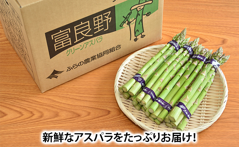 アスパラガス グリーンアスパラ 1.5kg M～L アスパラ あすぱら