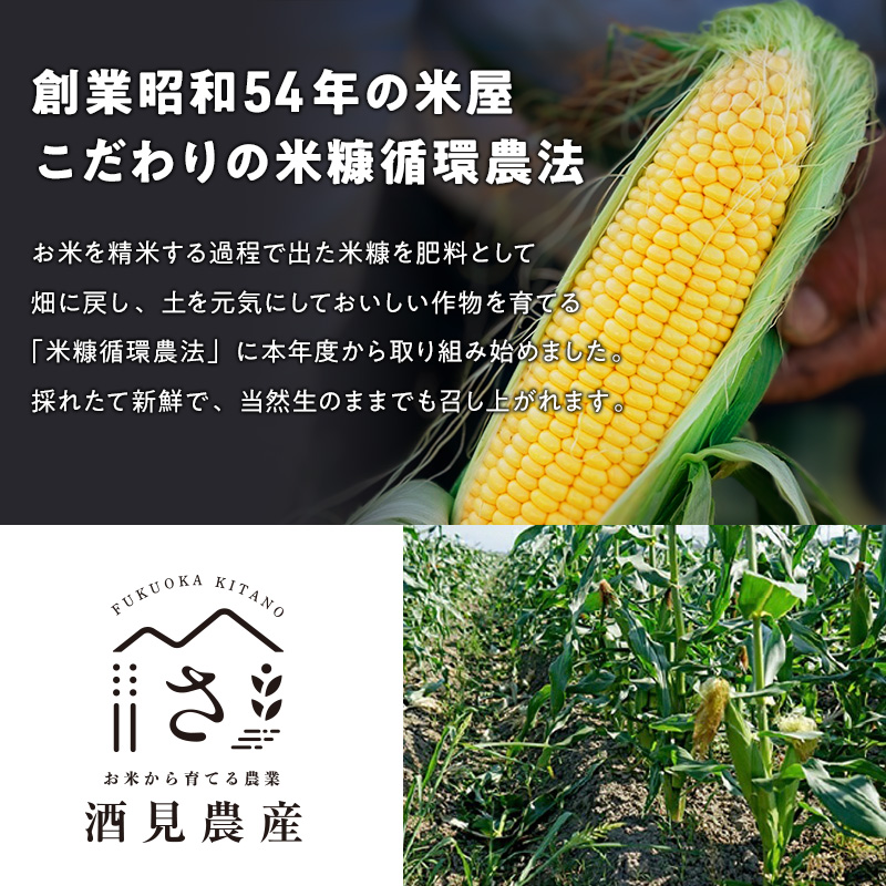 【来年度受付予約：2026年5月より発送】ベビーコーン 農家直送！SDGs米糠堆肥で作った環境に優しい ベビーコーン 50本 /酒見農産/ べびーこーん ※配送不可：離島