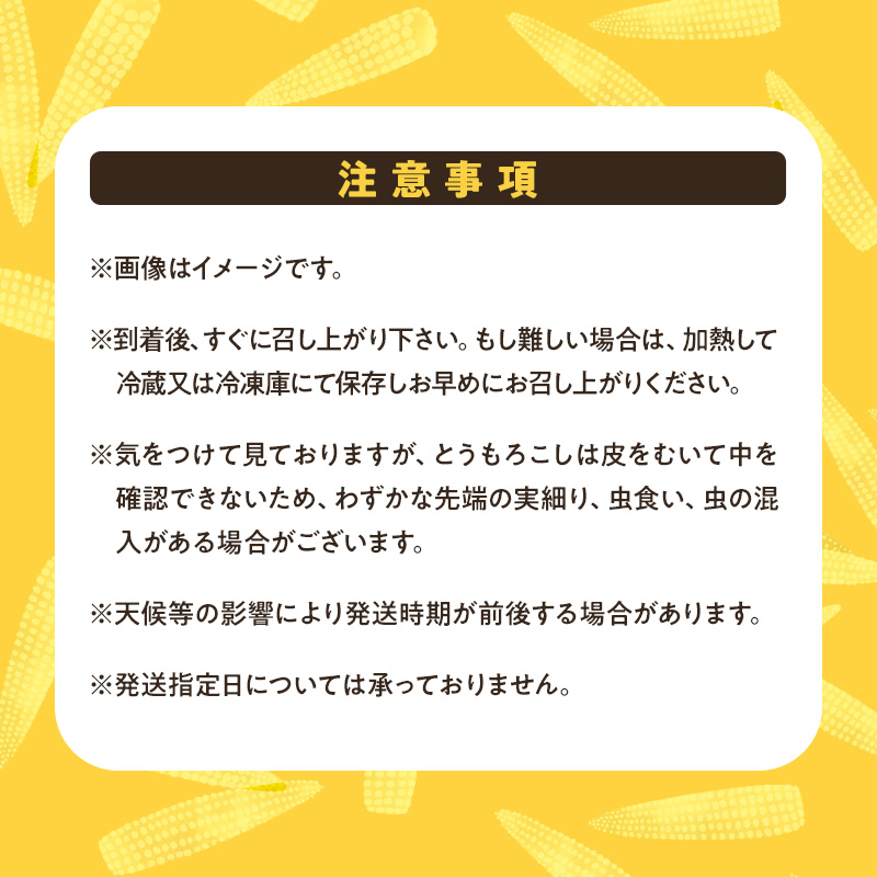 【来年度受付予約：2026年5月より発送】ベビーコーン 農家直送！SDGs米糠堆肥で作った環境に優しい ベビーコーン 50本 /酒見農産/ べびーこーん ※配送不可：離島