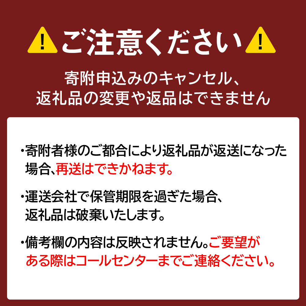 北海道白老町のふるさと納税 牛の里ビーフハンバーグ（110g×10個） 特製ソース（10袋） の詰合せ
