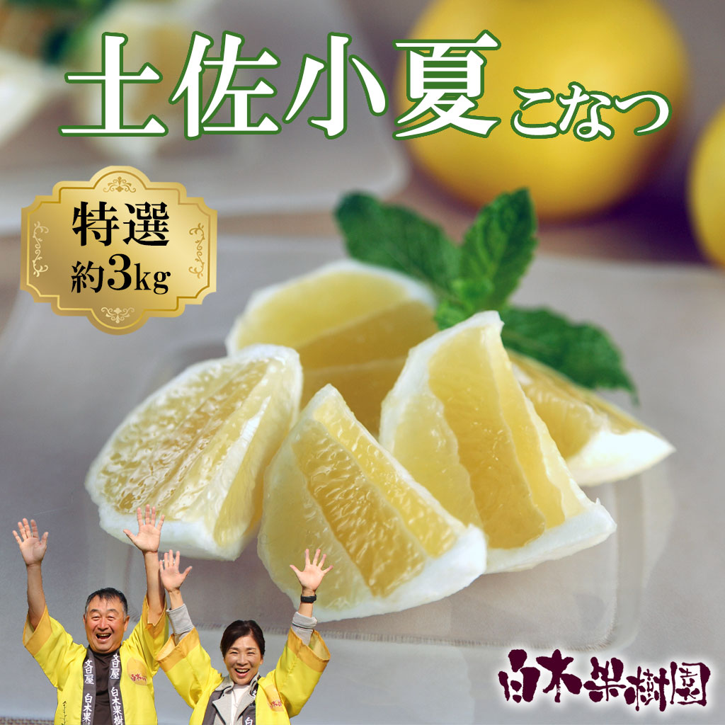 ymyszʎy Iip 3kg 3L Ȃ   j[T}[IW k 񂫂 k t[c ʕ  ʎ fU[g  v[g Mtg 蕨 퉷z