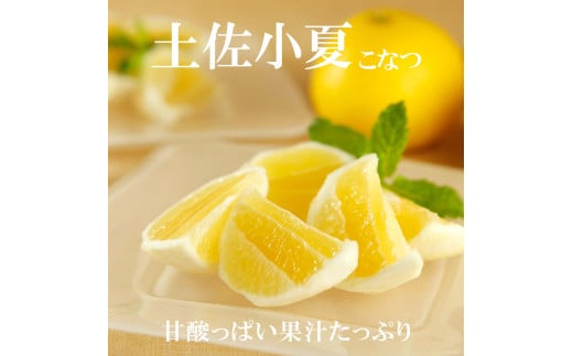 ＜果樹園直送＞土佐小夏 特選品贈答用 約3kg 3キロ こなつ 小夏 日向夏 ニューサマーオレンジ 柑橘 かんきつ 柑橘類 フルーツ 果物 くだもの 果実 デザート おやつ プレゼント ギフト 贈り物 常温配送