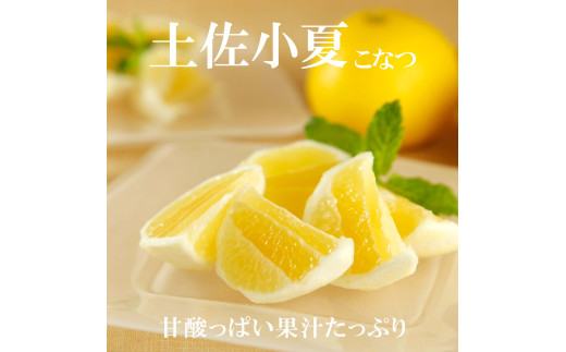 先行予約　＜白木果樹園＞ 土佐小夏 訳ありご家庭用 約5kg 5キロ こなつ 柑橘 かんきつ 柑橘類 フルーツ 日向夏 ニューサマーオレンジ 西内小夏 果物 くだもの 果実 デザート おやつ ジュース ジャム 美味しい ご自宅用 訳アリ