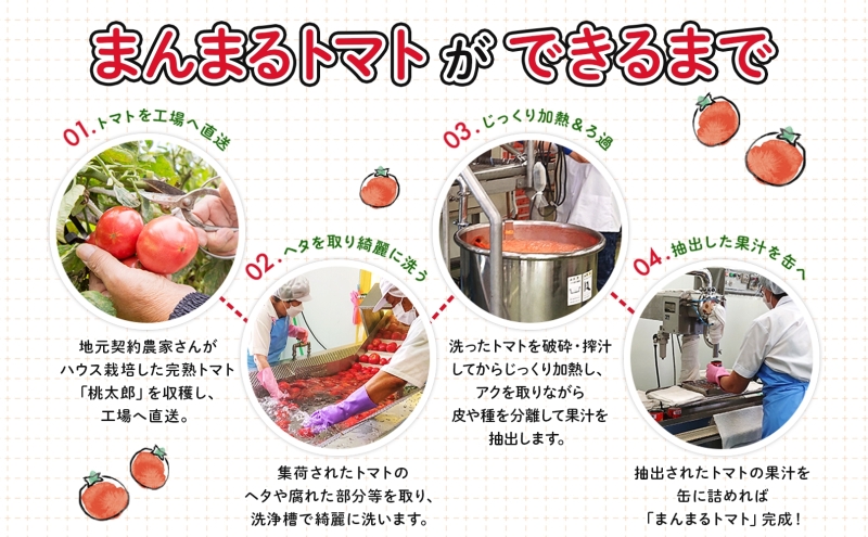 定期便 9ヶ月 北海道 トマトジュース 月形まんまるトマト 190g×60本 桃太郎 トマト 食塩不使用 食塩無添加 とまと 缶 無塩 ジュース ストレート 野菜ジュース 健康 完熟 ご褒美 プレゼント 送料無料