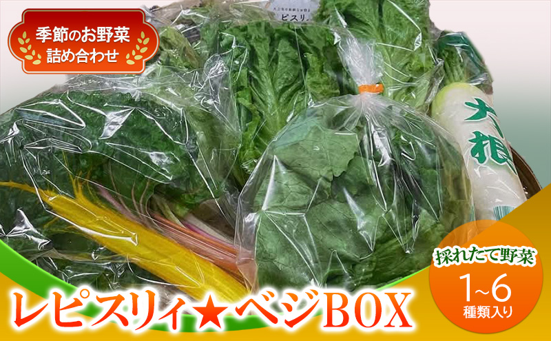 野菜 セット レピスリィ★ベジBOX 季節のお野菜 1～6種類 詰め合わせ ※配送不可：北海道、沖縄、離島