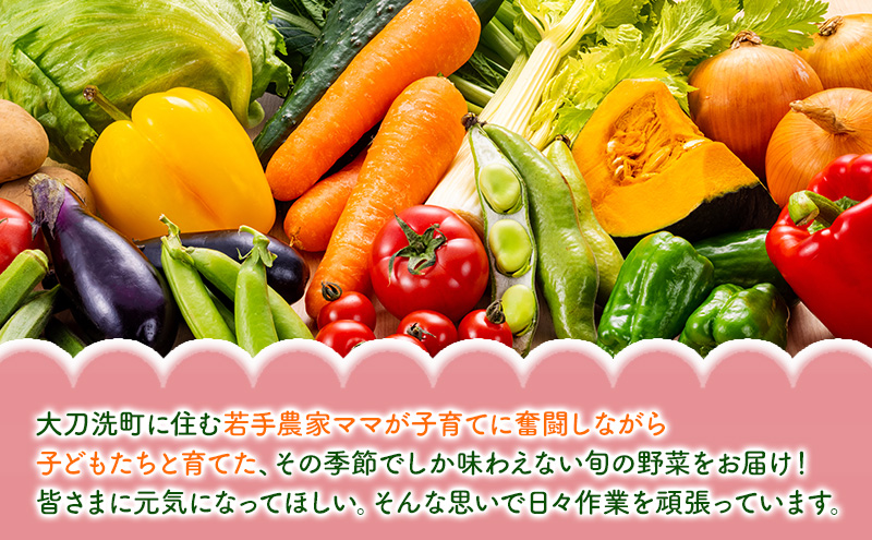 野菜 セット レピスリィ★ベジBOX 季節のお野菜 1～6種類 詰め合わせ ※配送不可：北海道、沖縄、離島