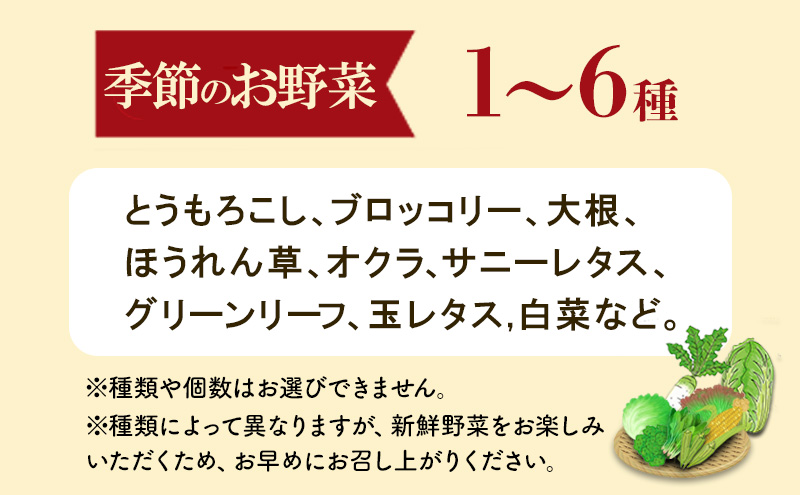 野菜 セット レピスリィ★ベジBOX 季節のお野菜 1～6種類 詰め合わせ ※配送不可：北海道、沖縄、離島