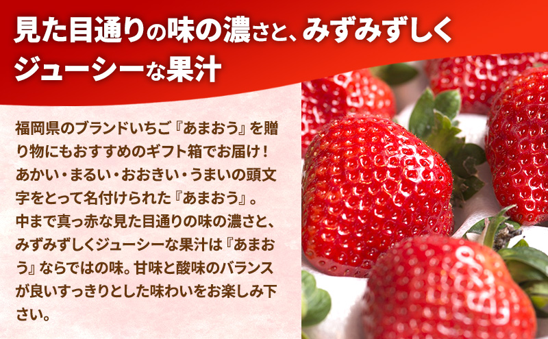 いちご 福岡産 あまおう ギフト箱（24-30粒） 苺 イチゴ ギフト フルーツ 果物 ※配送不可:離島