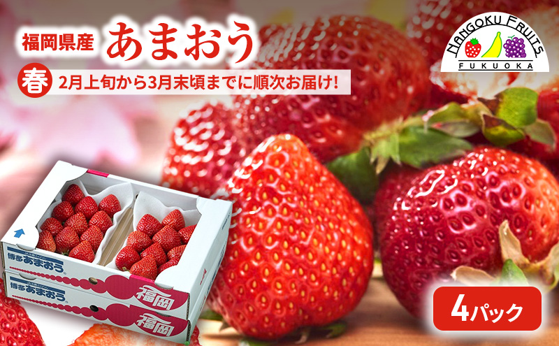 y品zytzY܂4pbN    C`S t[c ʕ zs: